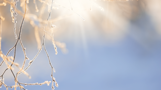 Välkommen till kyrkan v.8