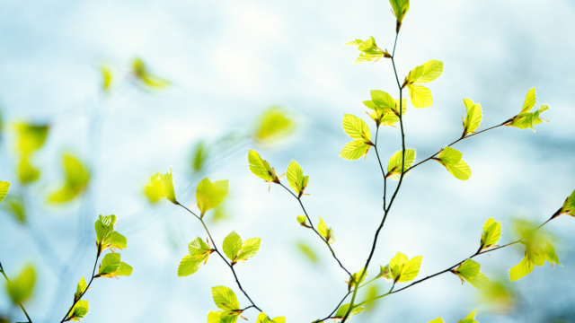 Välkommen till kyrkan v.18