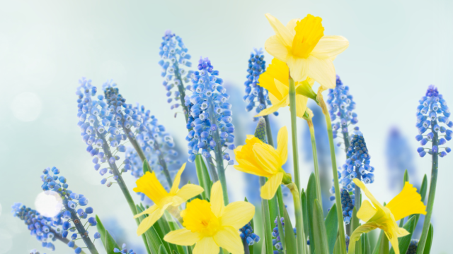 Välkommen till kyrkan v.15