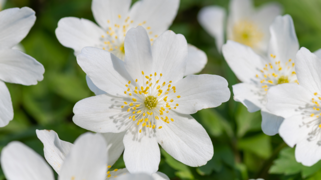 Välkommen till kyrkan v.17